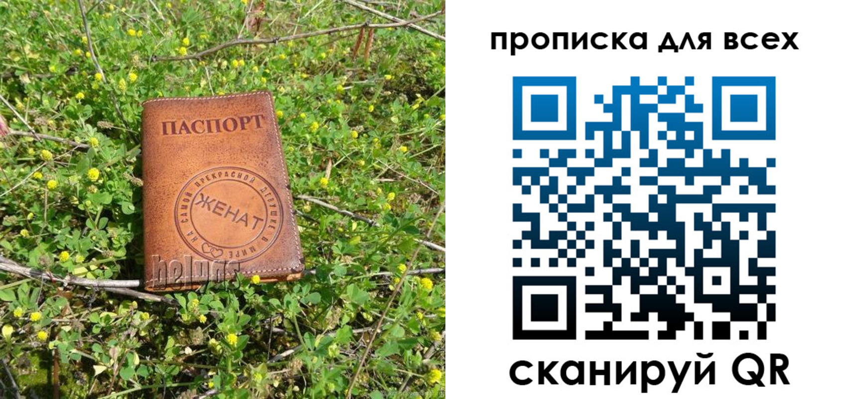 прописка поиск в Белогорске
